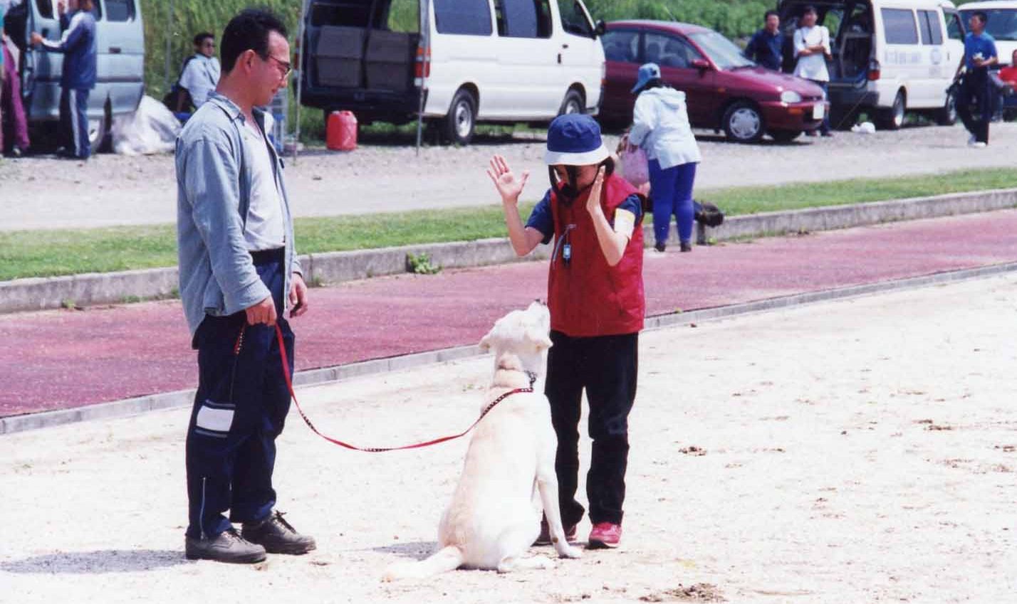 老犬の口臭、専門家も薦めるケア法とは？