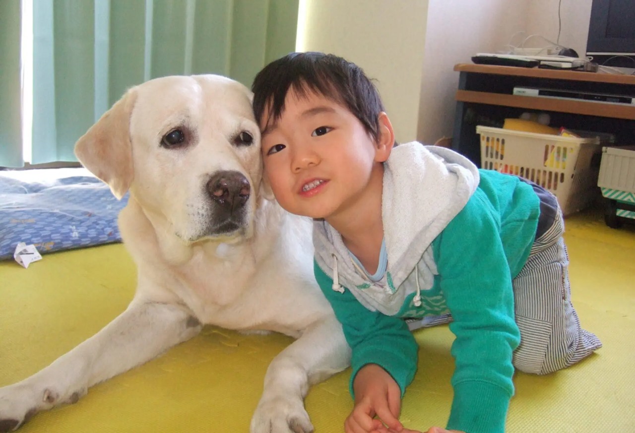 子犬の健康管理ガイド：飼いはじめに多い体調不良の原因と対処法