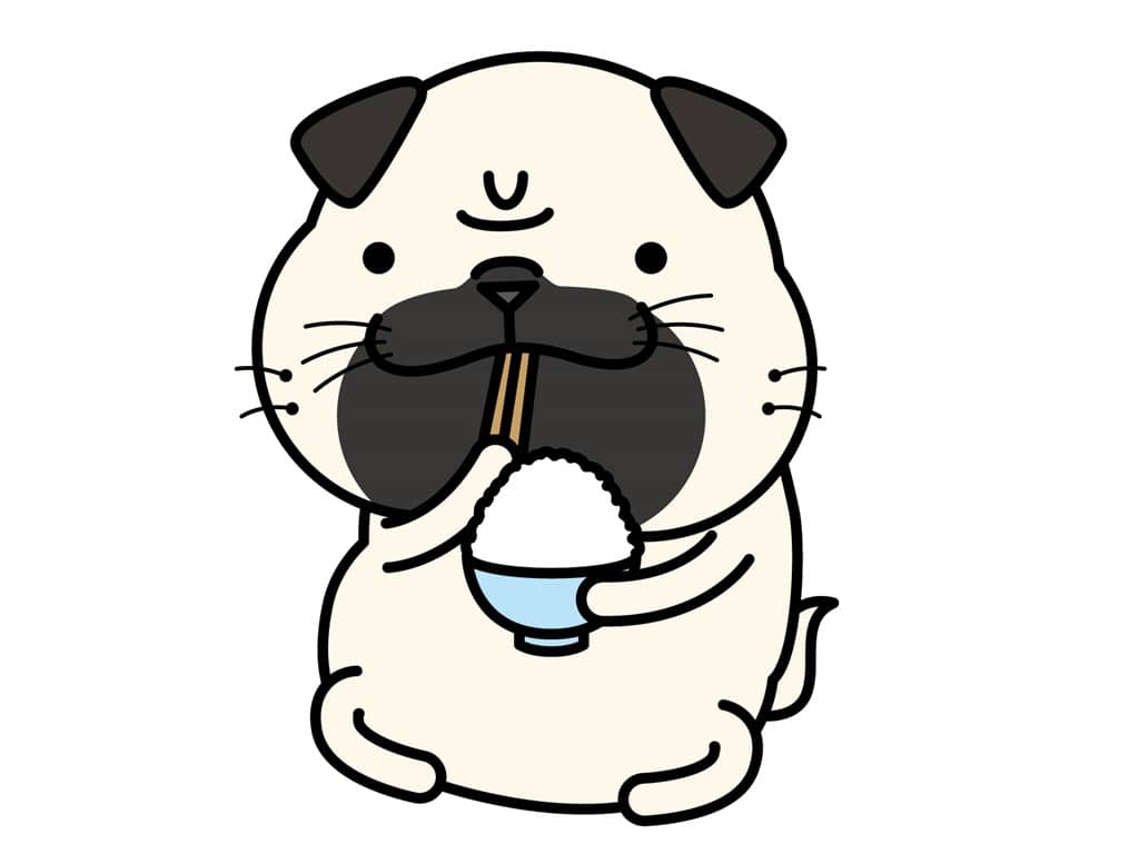 チワワの寿命ってどのくらい?長生きさせるコツ