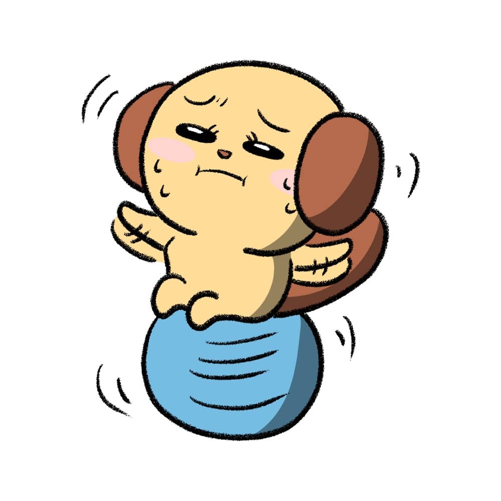 犬 バランスボール