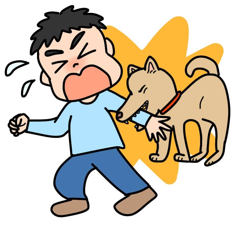飼い犬が他人を噛んでケガをさせた場合に備える保険とは？もしもの時に役立つ保険と選び方を徹底解説