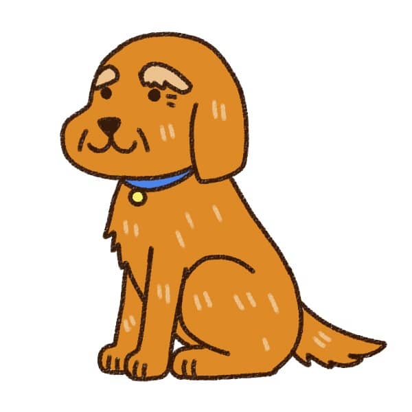 老犬のかわいさ発見！愛しいおじいちゃん犬の魅力とは？