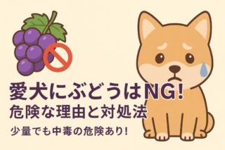 犬の舌が出ている理由とは？知っておきたい3つのメッセージ