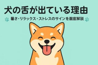 犬の舌が出ている理由とは？知っておきたい3つのメッセージ
