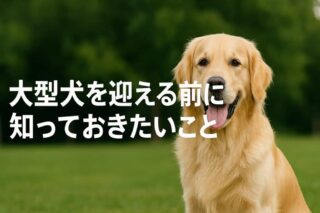 一人暮らしのあなたへ。静かで飼いやすい小型犬との幸せなマンションライフ計画