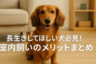 犬がゴミ箱を荒らす理由とその解決法！今日からできる安心対策ガイド