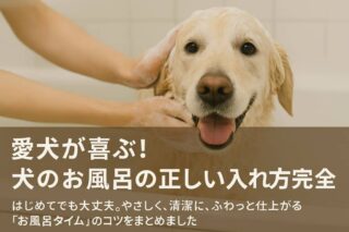 愛犬が喜ぶ！犬のお風呂の正しい入れ方完全ガイド