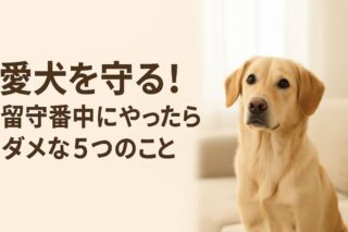 愛犬を守る！留守番中にやったらダメな5つのこと
