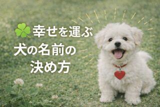 愛犬と家族の物語が始まる。幸せを運ぶ犬の名前、後悔しない決め方の全手順