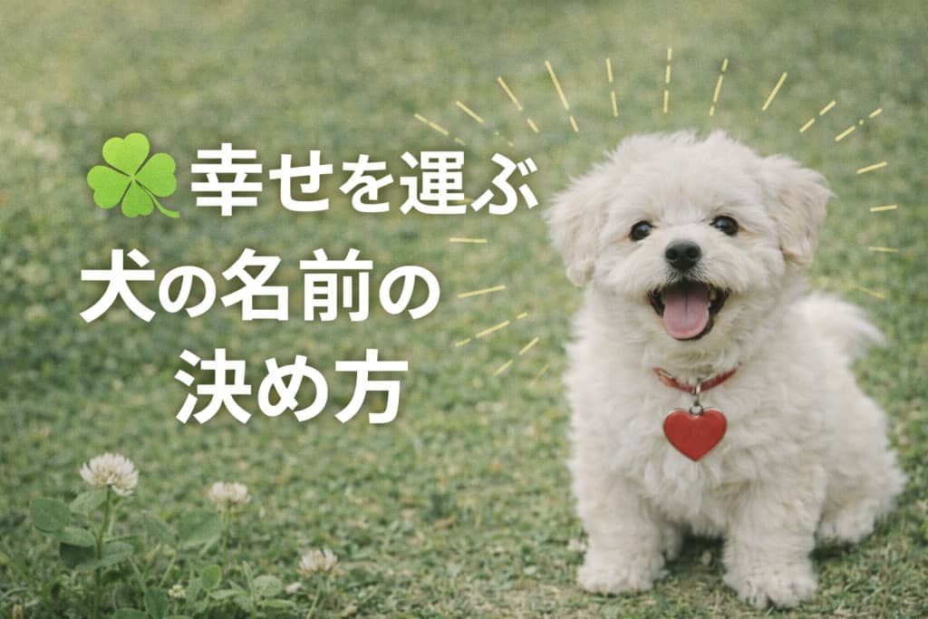 愛犬と家族の物語が始まる。幸せを運ぶ犬の名前、後悔しない決め方の全手順