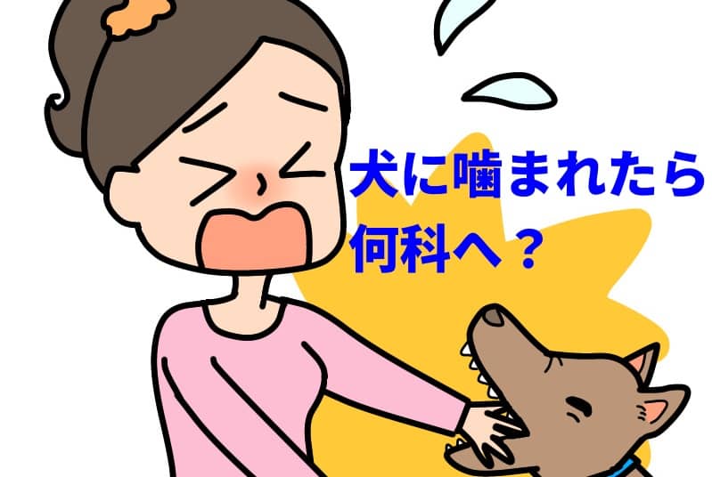 【救急医監修】犬に噛まれたら何科へ？応急処置と病院選びの全知識