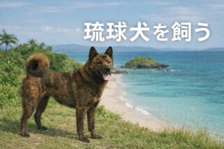 【獣医師解説】犬の血尿！元気でも大丈夫？夜間救急に行くべきかの判断法