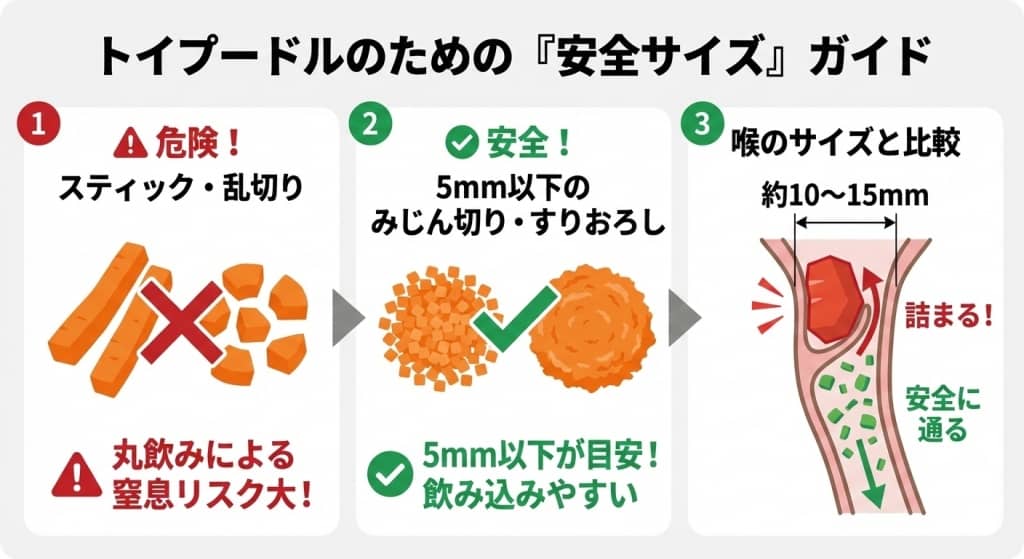 トイプードルのための「安全サイズ」ガイド