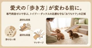 「頭のいい犬」は飼いやすい？共働き夫婦が選ぶべき「賢いパートナー」の正解