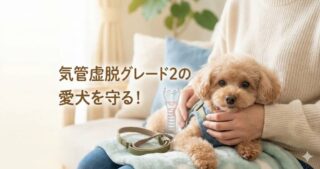 犬のくしゃみが止まらない！11歳ダックスの鼻水は「歯周病」のサインかも？